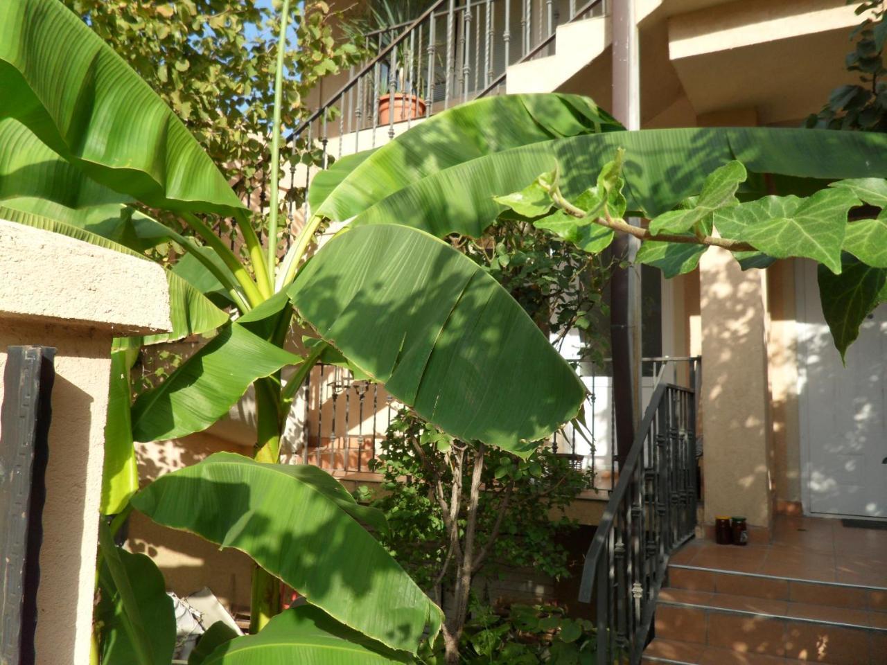 Misko'S Guest House スコピエ エクステリア 写真
